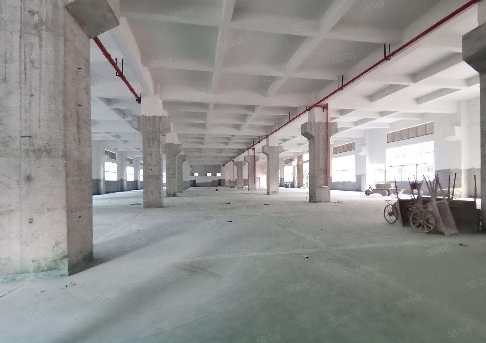 博罗板桥工业区原房东3千平独栋一楼仓库厂房出租可分租可办环评