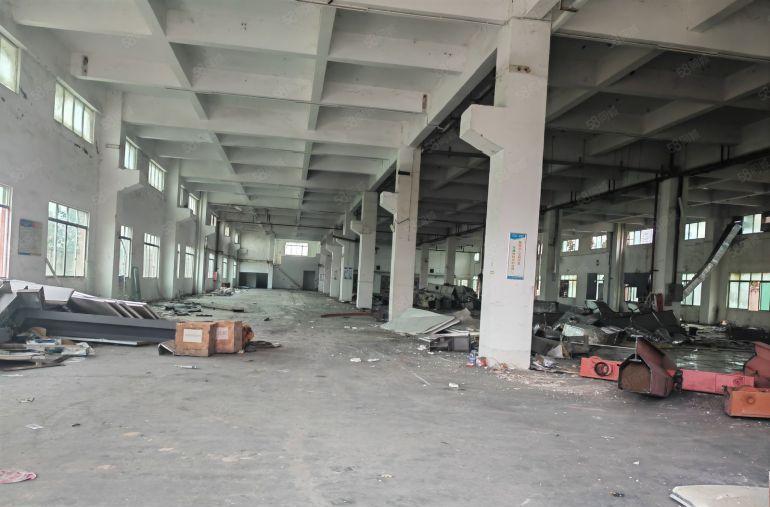 园洲独门独院标准厂房21500平，豪华办公室装修，可分租