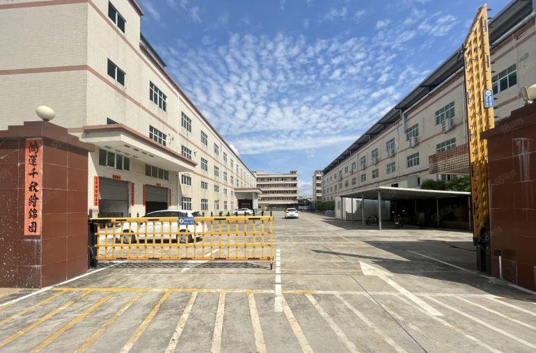 园洲新出租原房东独院，带独立办公室带喷淋位适合电子五金加工等