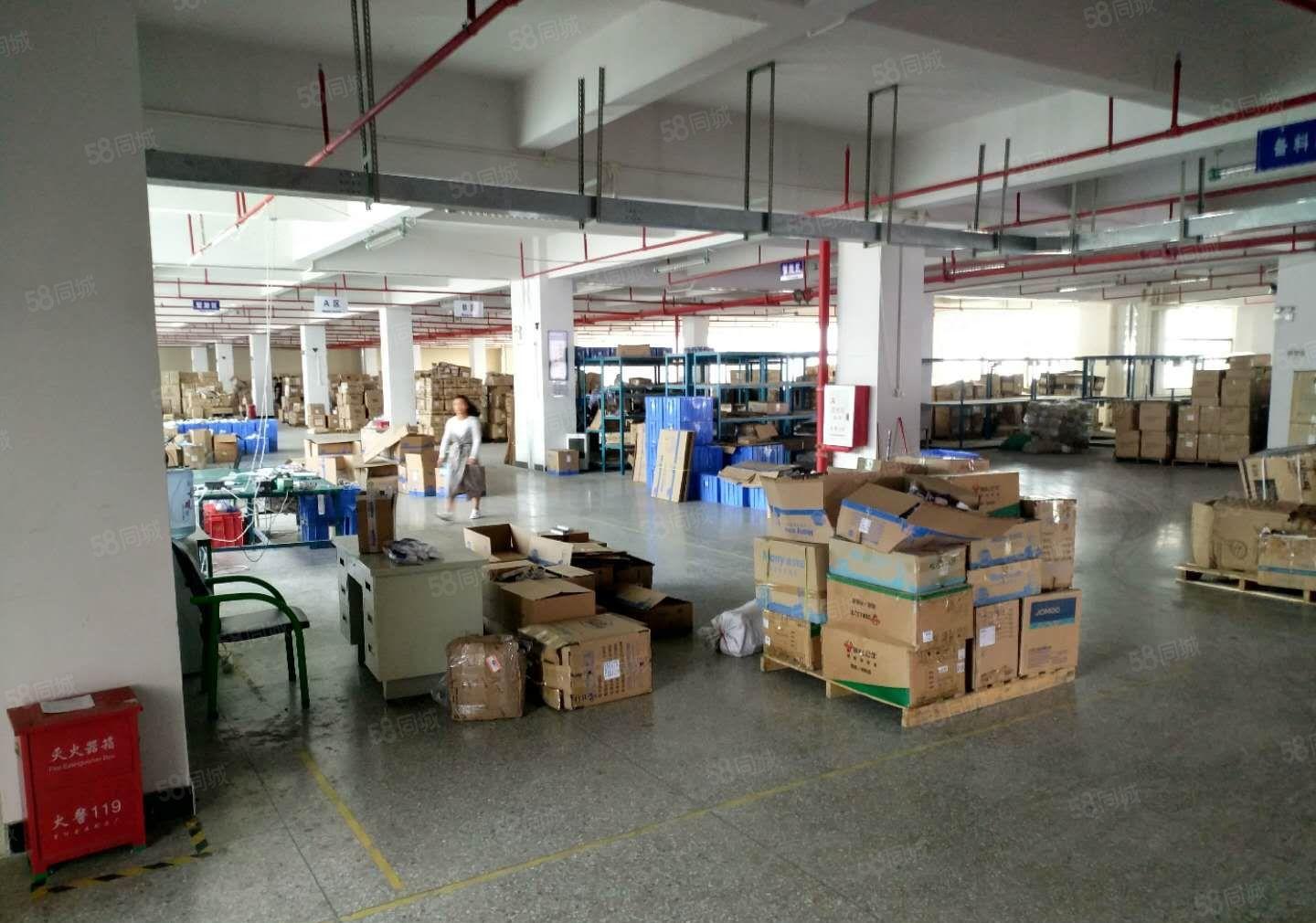 惠州市博罗县龙溪镇小蓬岗工业园区厂房出租10万方