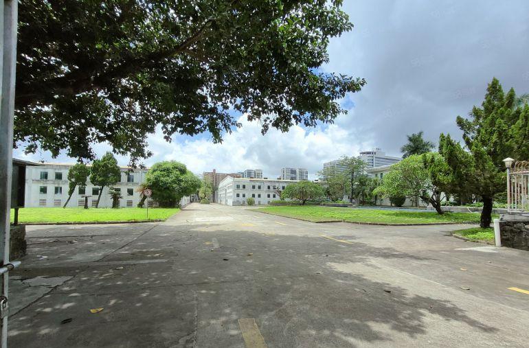 园洲九潭带红本独门独院红本单一层厂房仓库低价出租500平起分