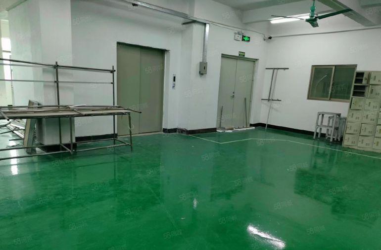 惠州石湾原房东厂房 600平整层带装修水电到位底价8元出租