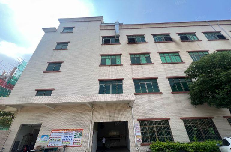 园洲！新出原房东！标准带喷淋！