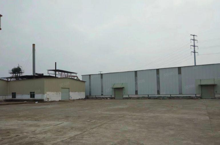 园洲镇独院，单一层厂房2300平米，宿舍800平米