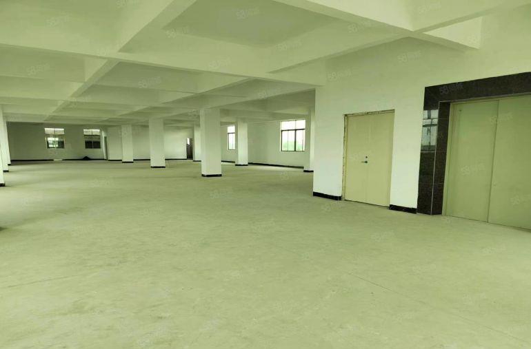 园洲企石桥新建厂房每层650平，有2吨货梯，水电齐全