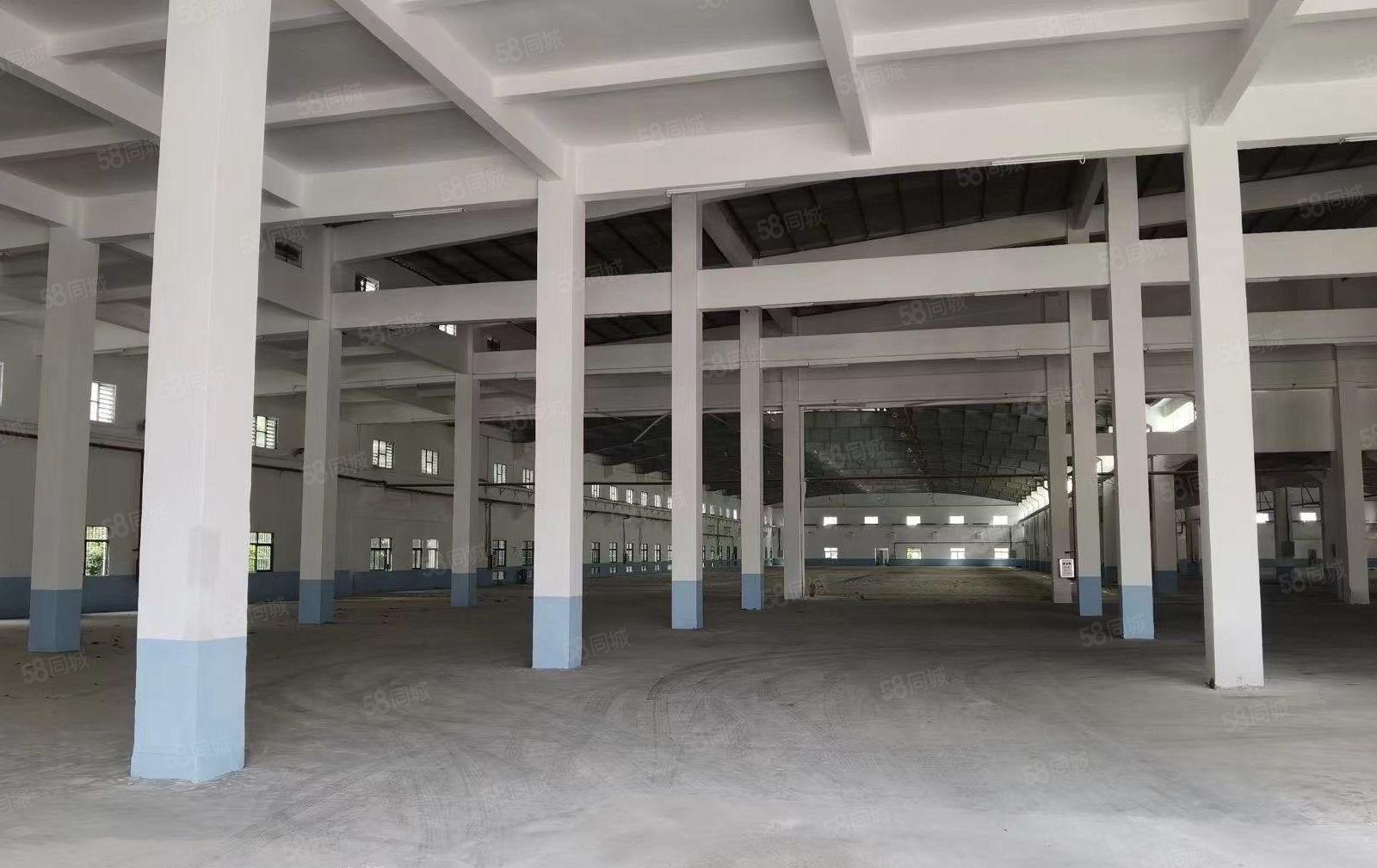 红本单一层钢结构独门独院厂房出租