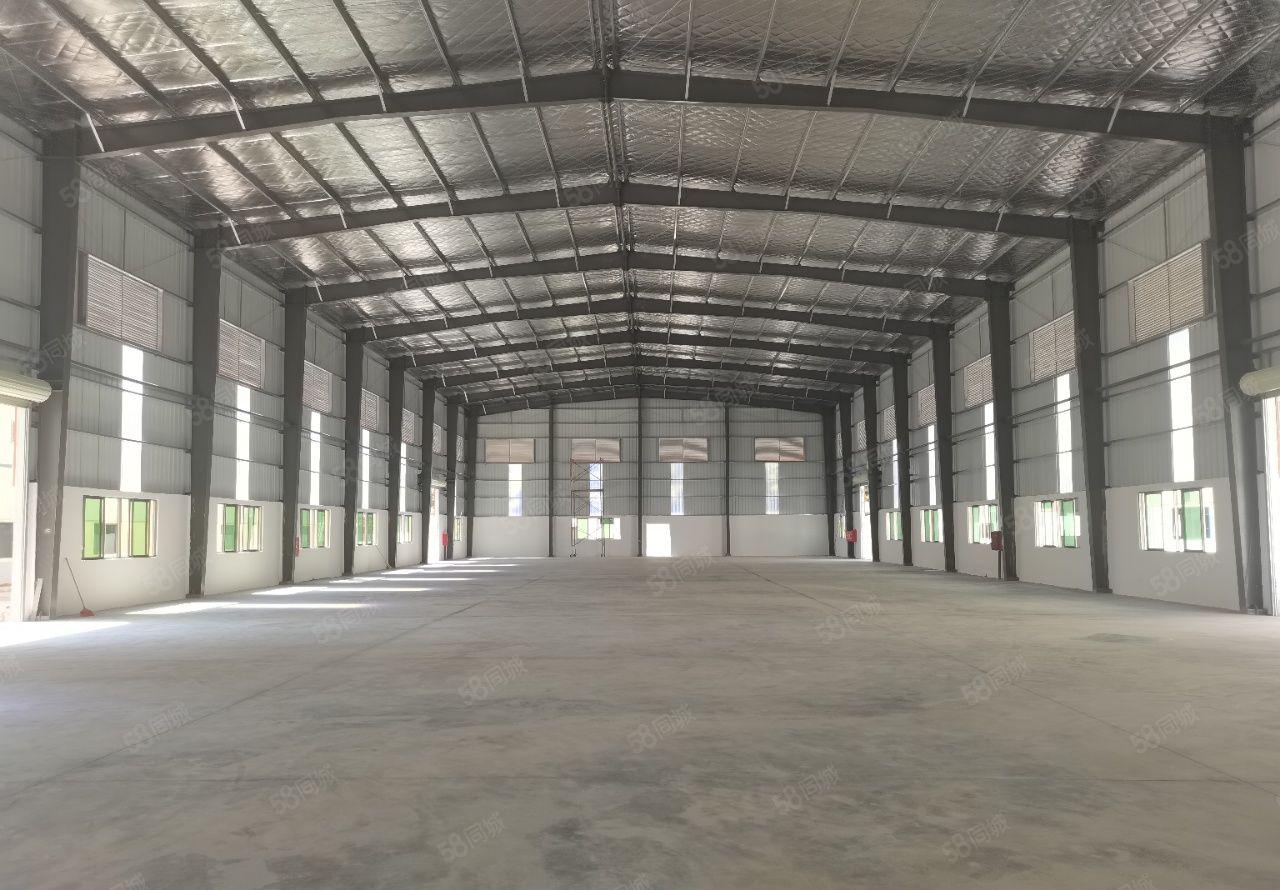 园洲工业区独院单一层滴水9米厂房出租