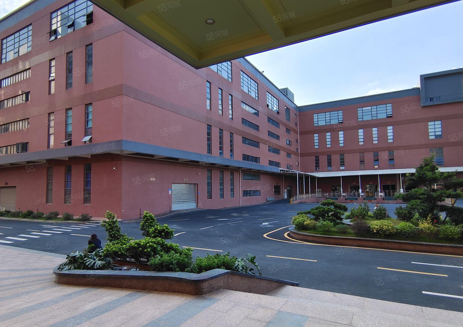 5百1千3千平起租龙溪6万平原房东厂房仓库出租可办环评带红本