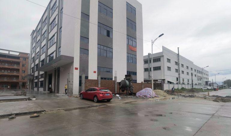 新出！！园洲镇中心位置全新标准厂房独院5500平方低价出租