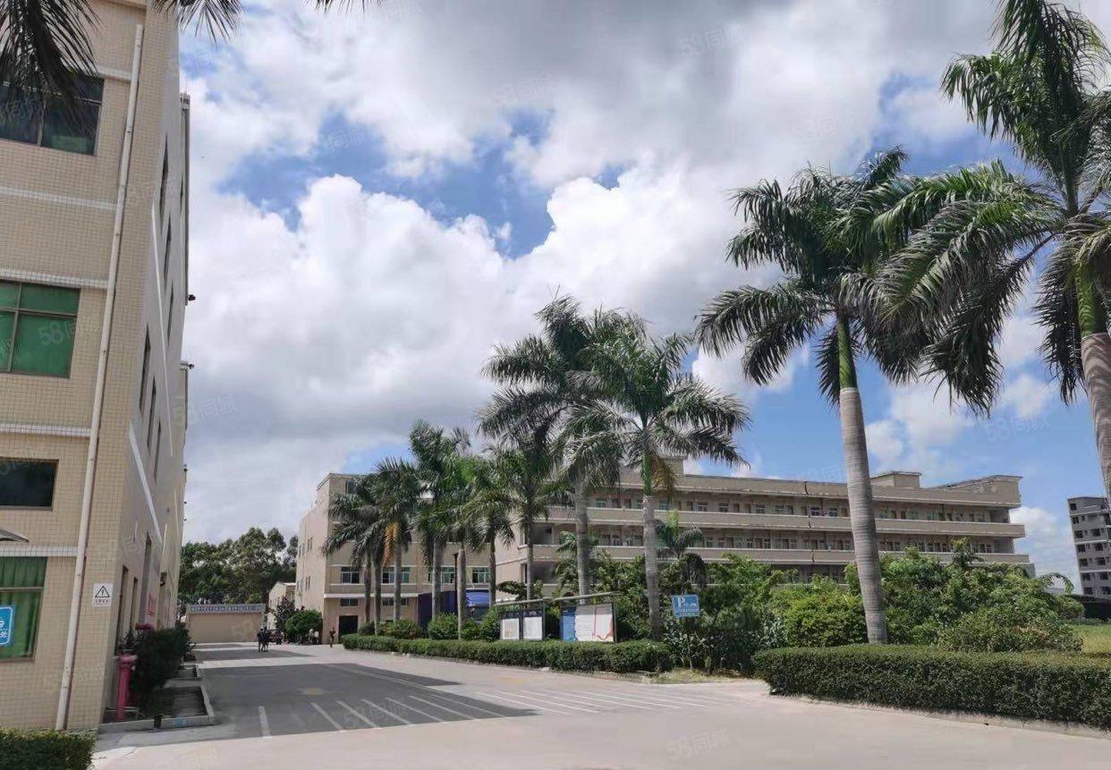 博罗县龙溪镇原房东自建标准独院12000平厂房仓库出租