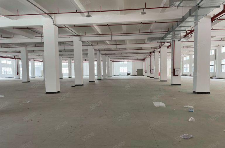 原房东标准厂房出租独门独院6000平方价格便宜地段好