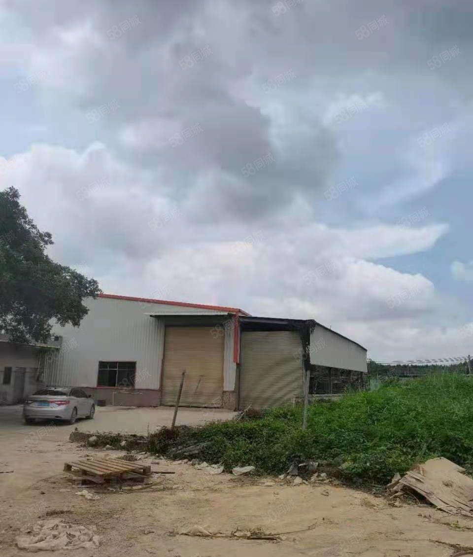 龙溪镇偏僻位置厂房出租单一层厂房出租可做污染厂房空地超大