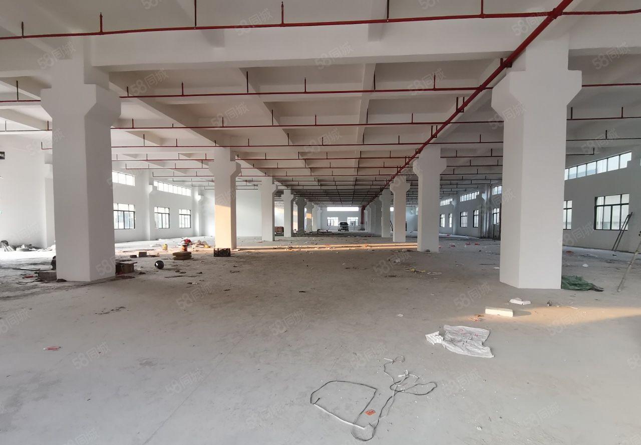 石湾镇新出全新超靓楼房现成塑胶喷油环评800平方起分租带牛角