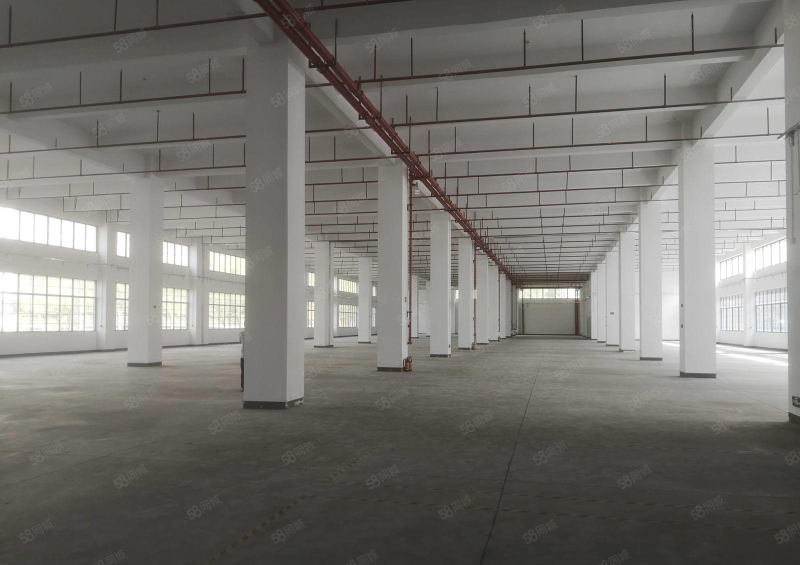 园洲镇高速出口 新出一楼5500平出租 带卸货平台滴水7米