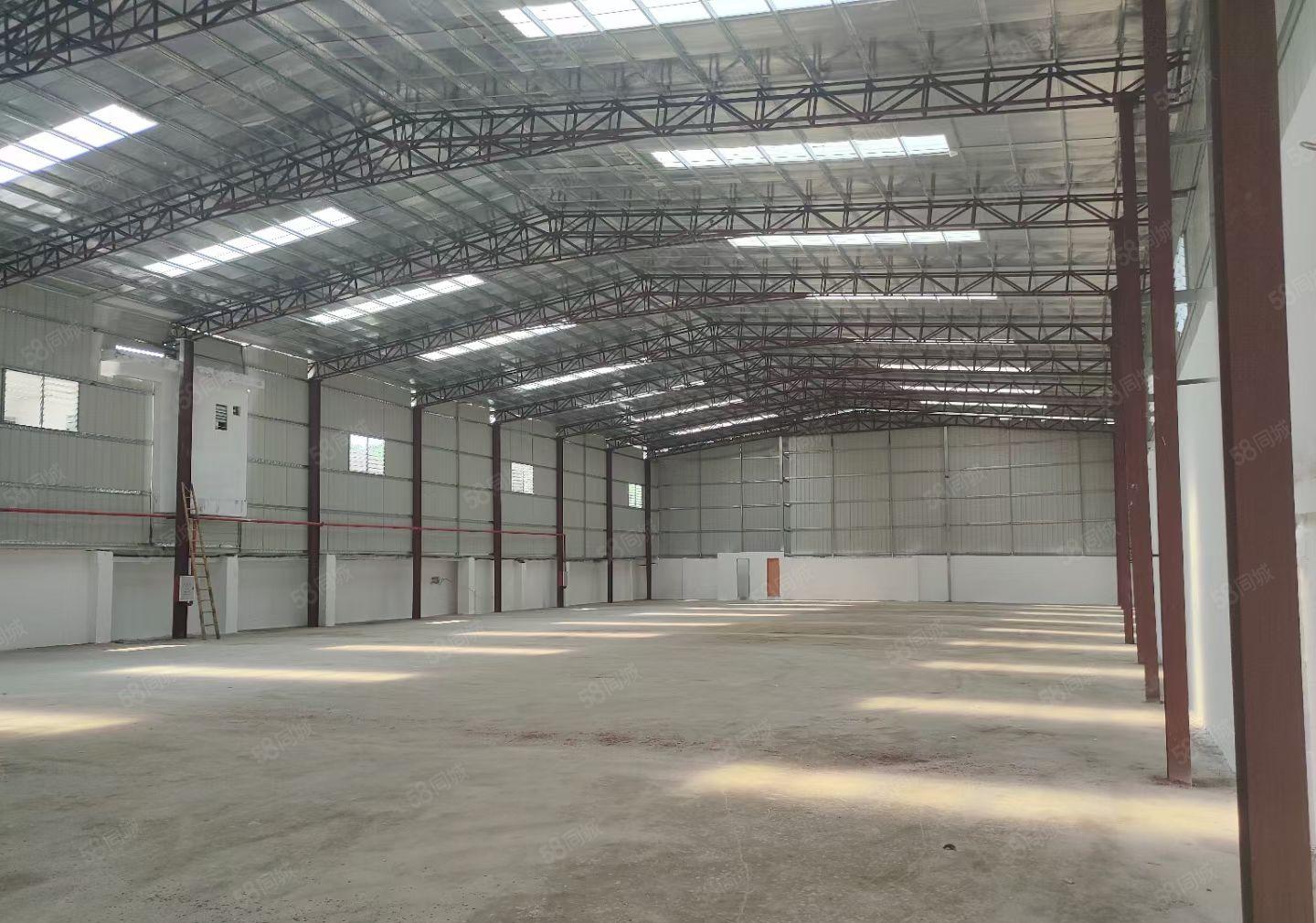 园洲全新独栋钢构1900平方，滴水8米，证件齐全，可办环评