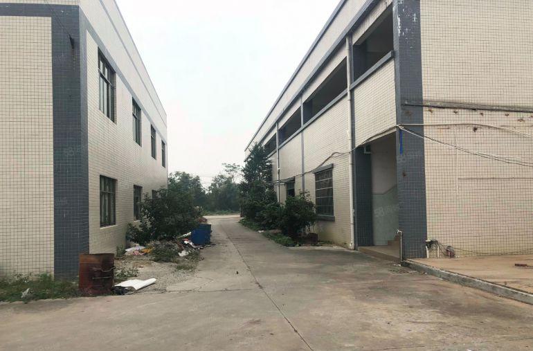 石湾一手房东厂房1楼800平米空地大形象哇噻房东人品好