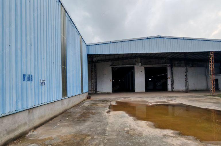 园洲镇独院原房东单一层厂房2300平米，宿舍500平米出租