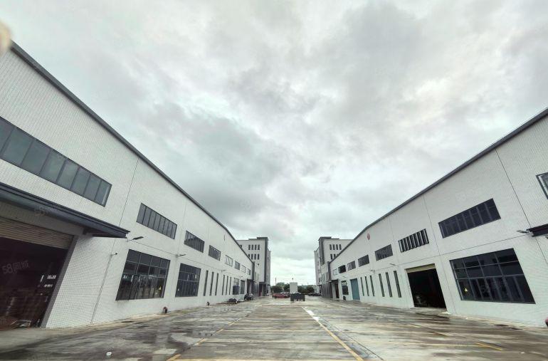 园洲镇全新砖墙单一层，滴水十米，有牛角喷淋，2000平方起租