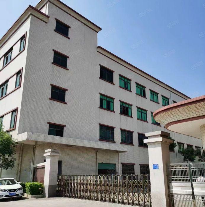 园洲！全新标准厂房二楼，4米高，园洲大道边上！带精装修办公室