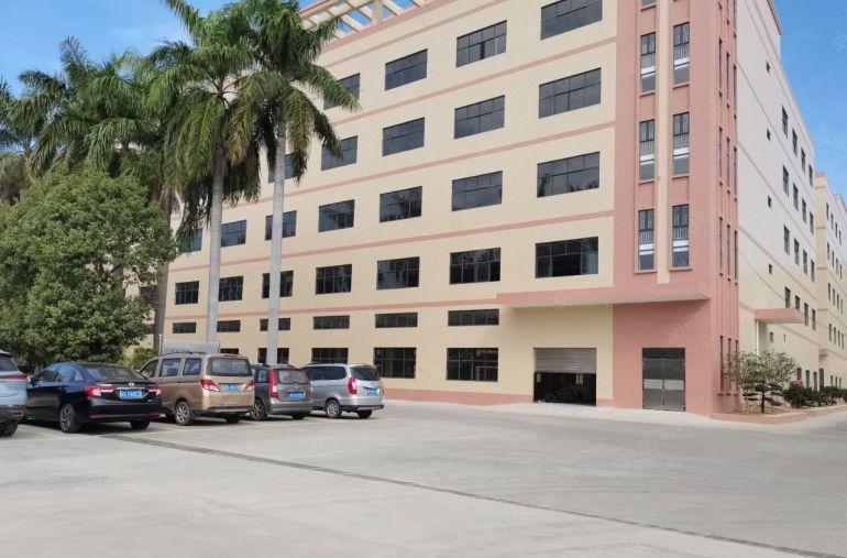 石湾镇全新标准园区厂房出租该园区地段好容易招工空地大