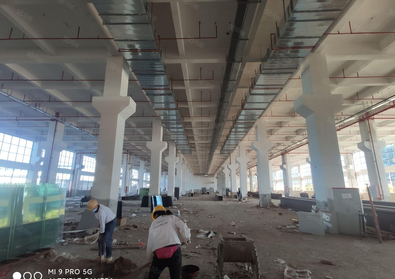 2000平方起租，石湾科技园新出4层红本标准厂房，一楼9米高