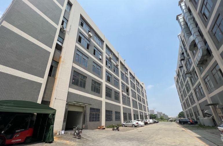 园洲新房！大型园区厂房！