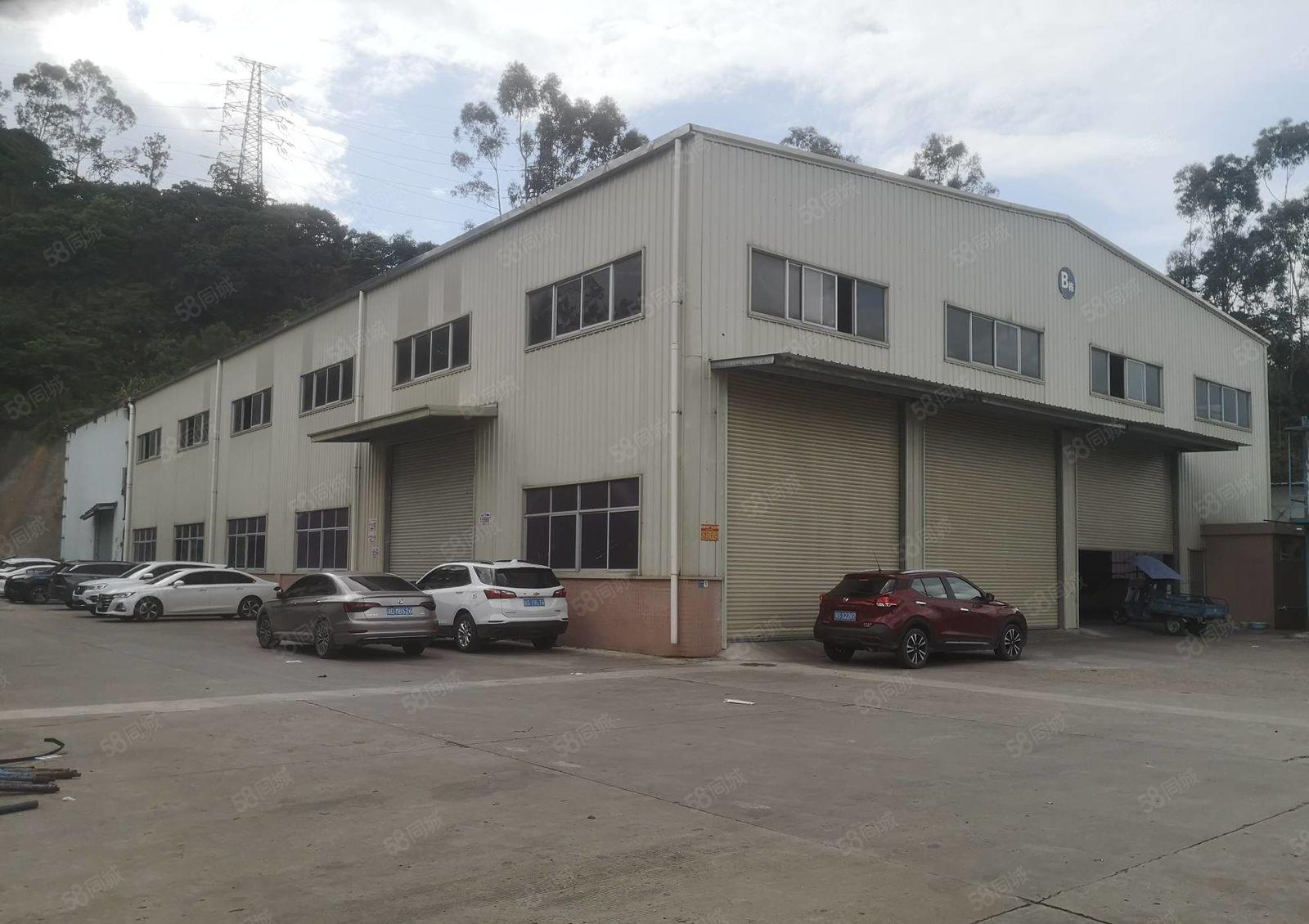 园洲高速出口附近独栋单一层钢构1500平出租滴水9米可办环评