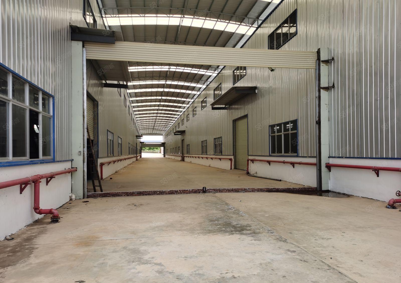 工业园独院标准钢结构红本有消防原房东出租形象好