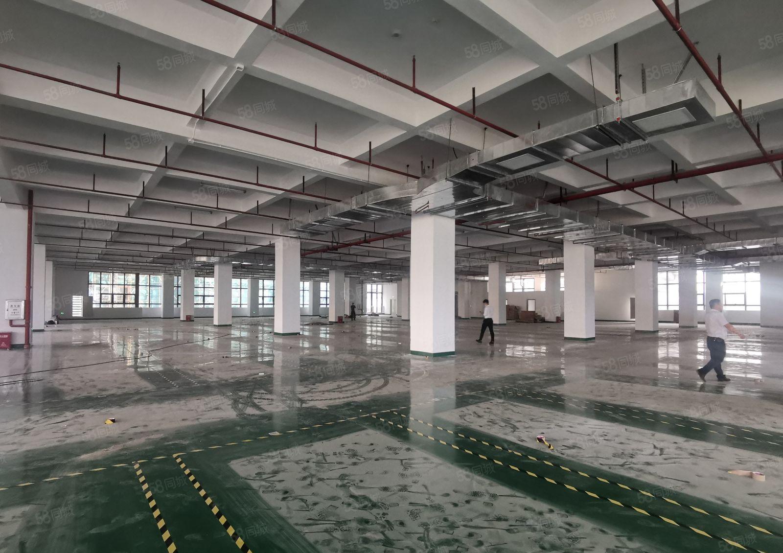 500平起博罗石湾科技园2万平厂房出租带环评一楼6米精选仓库