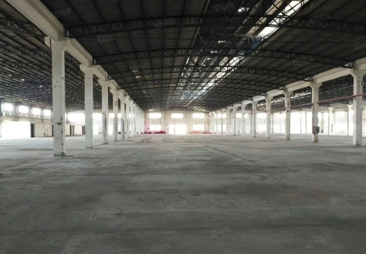 石湾镇原房东园区厂房出租1000方，面积实量可分租，环评无忧