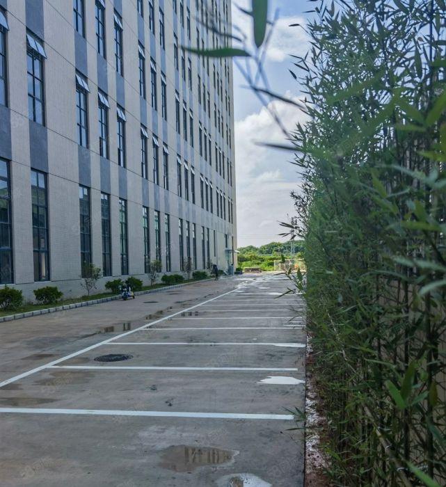 园洲镇原房东重工业标准厂房出租离高速路口一公里