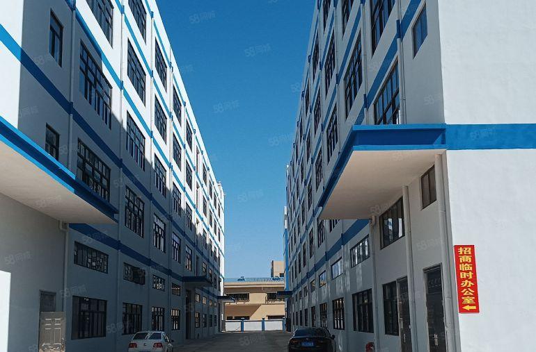 园洲产业园重工业全新红本厂房招租