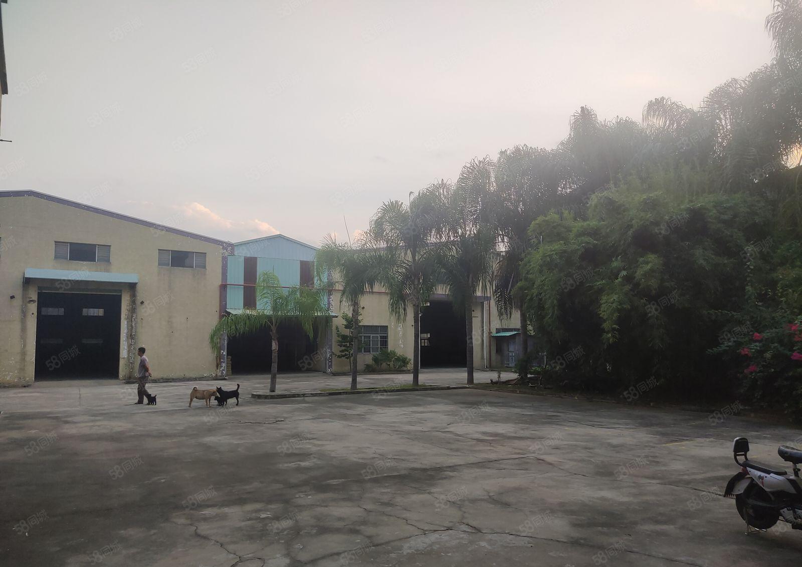 龙溪花园式独院厂房出租4800平方，水电带现成装修，可办环评