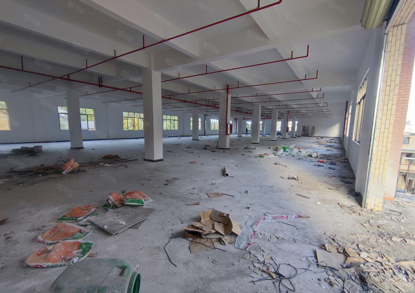 惠州博罗小金口原房东实际面积标准厂房出租高度5米以上