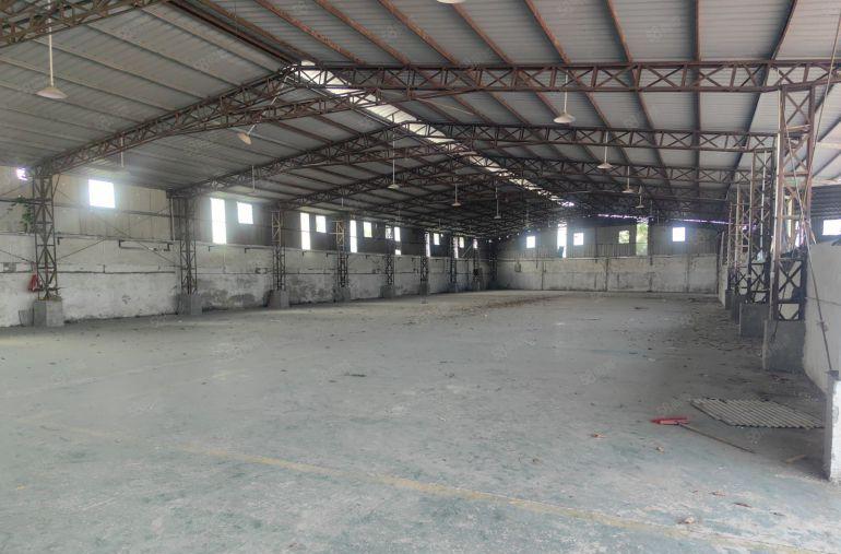 钢结构单一层 双龙大道边独门独院厂房出租