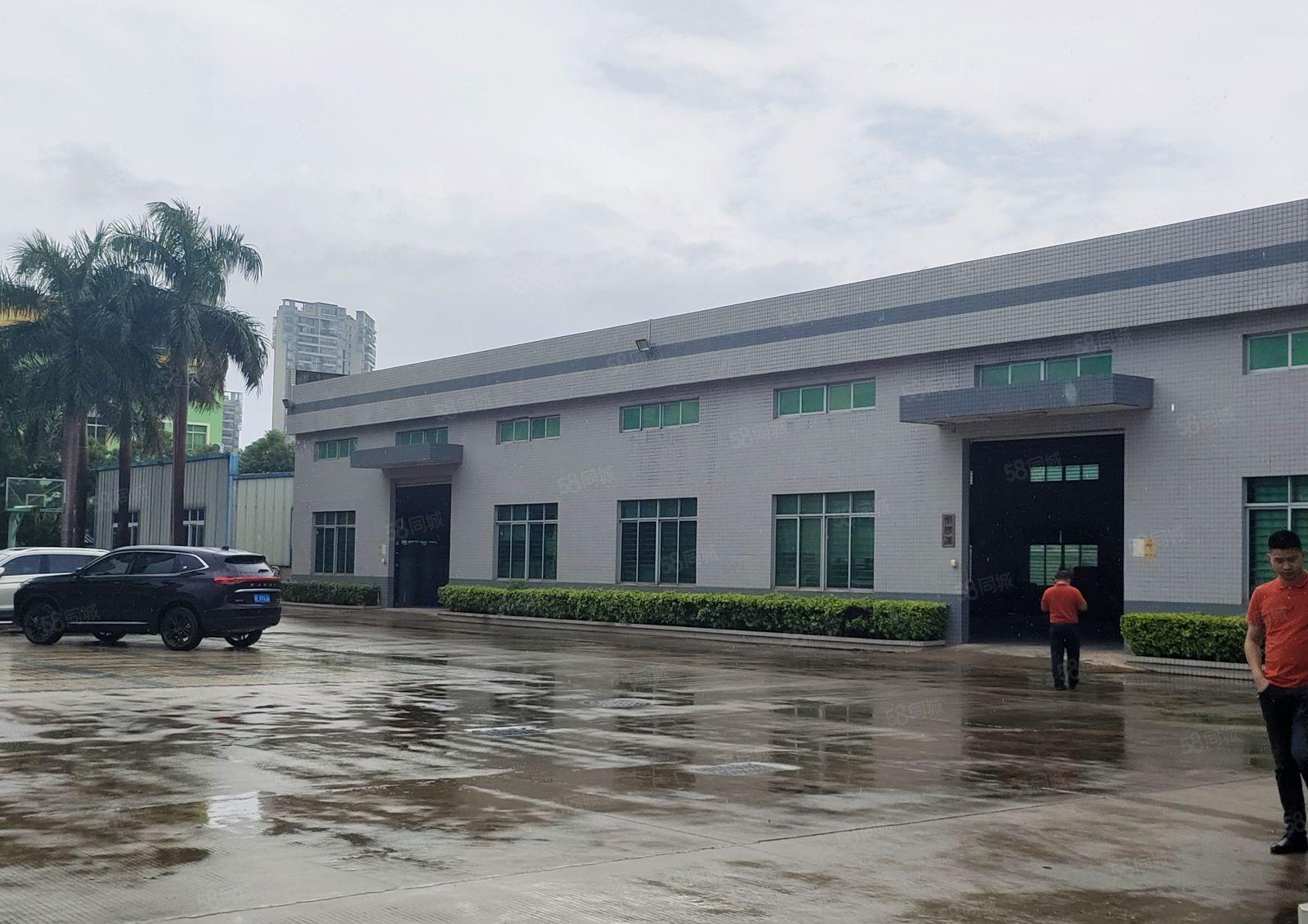 石湾原房东急用钱10元低价花园式独栋厂房出租实际面积无公摊