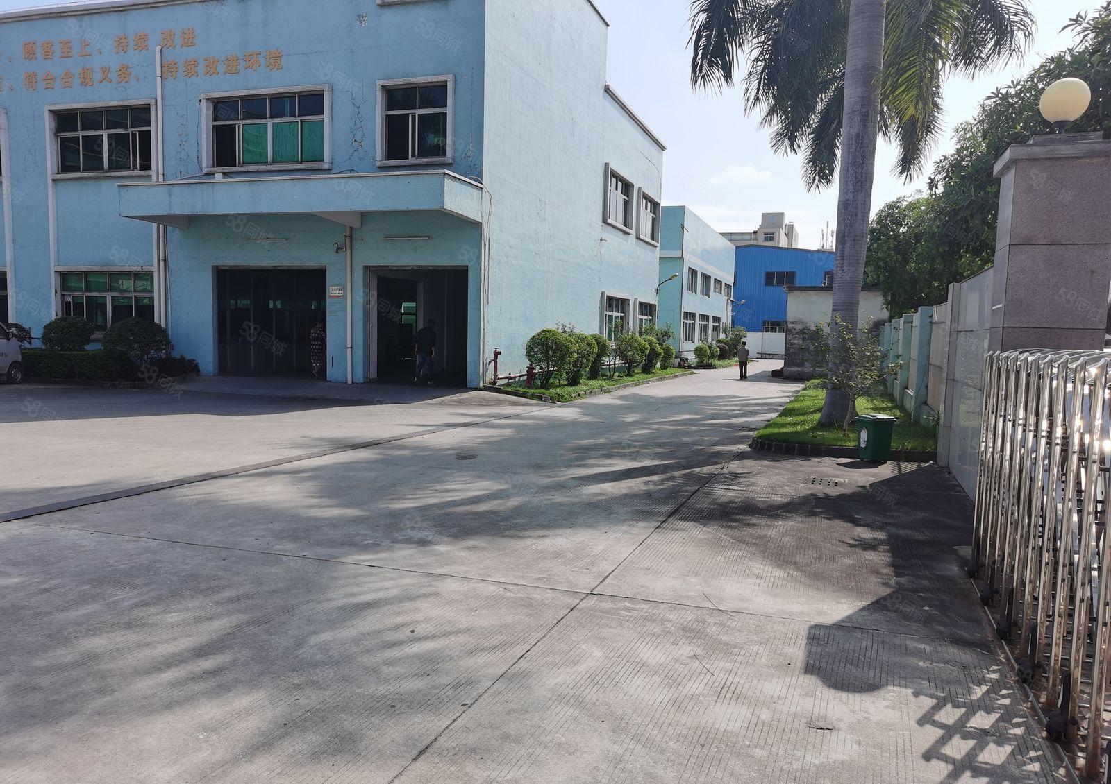 石湾镇科技园独立1000平方厂房出租