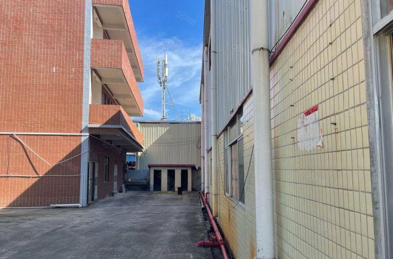 石湾新出独门独院钢结构厂房3000平方低价出租