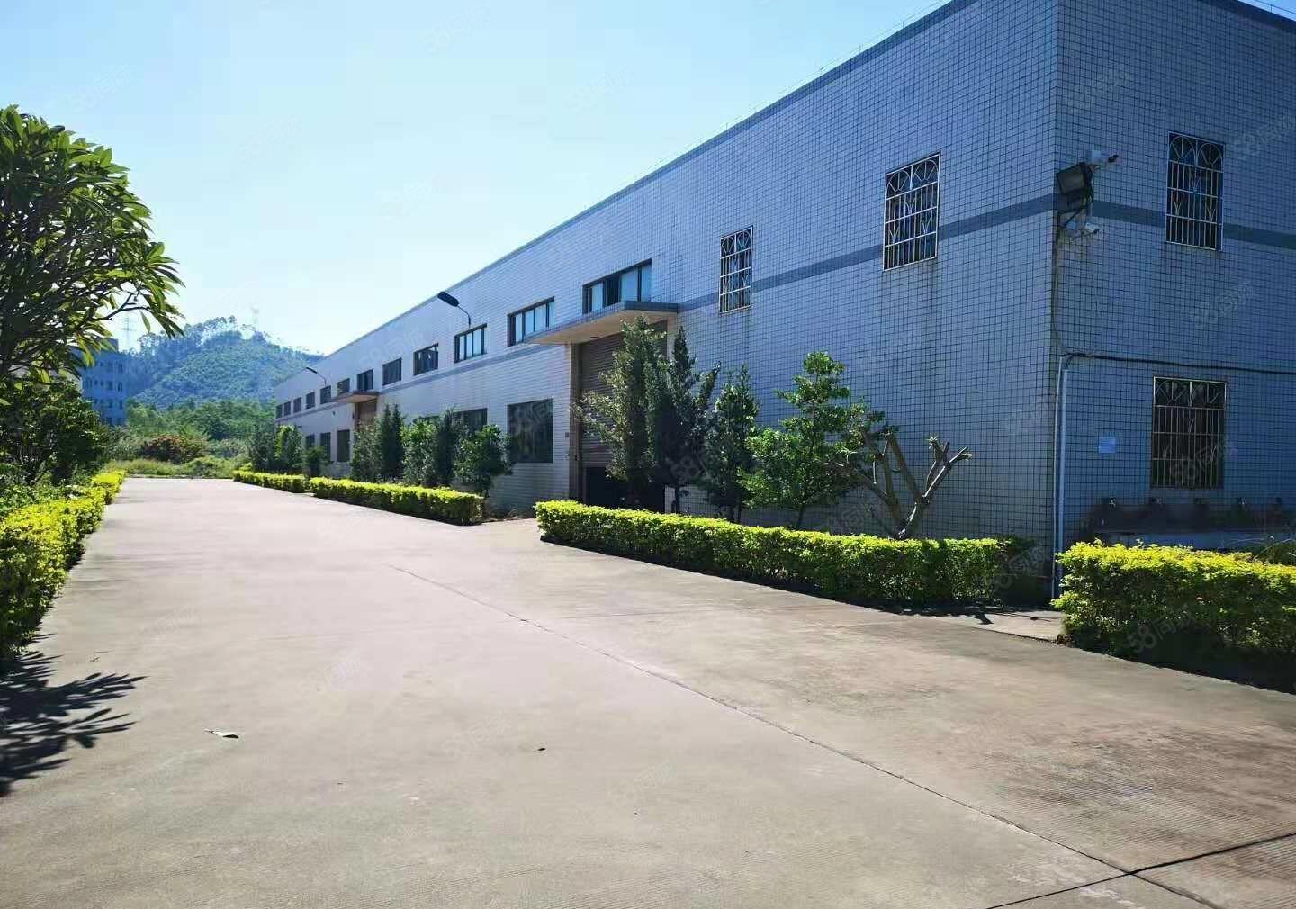 博罗3000平方原房东厂房出租，高度8米