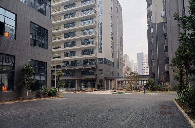 低价出租惠州博罗龙溪全新红本标准厂房