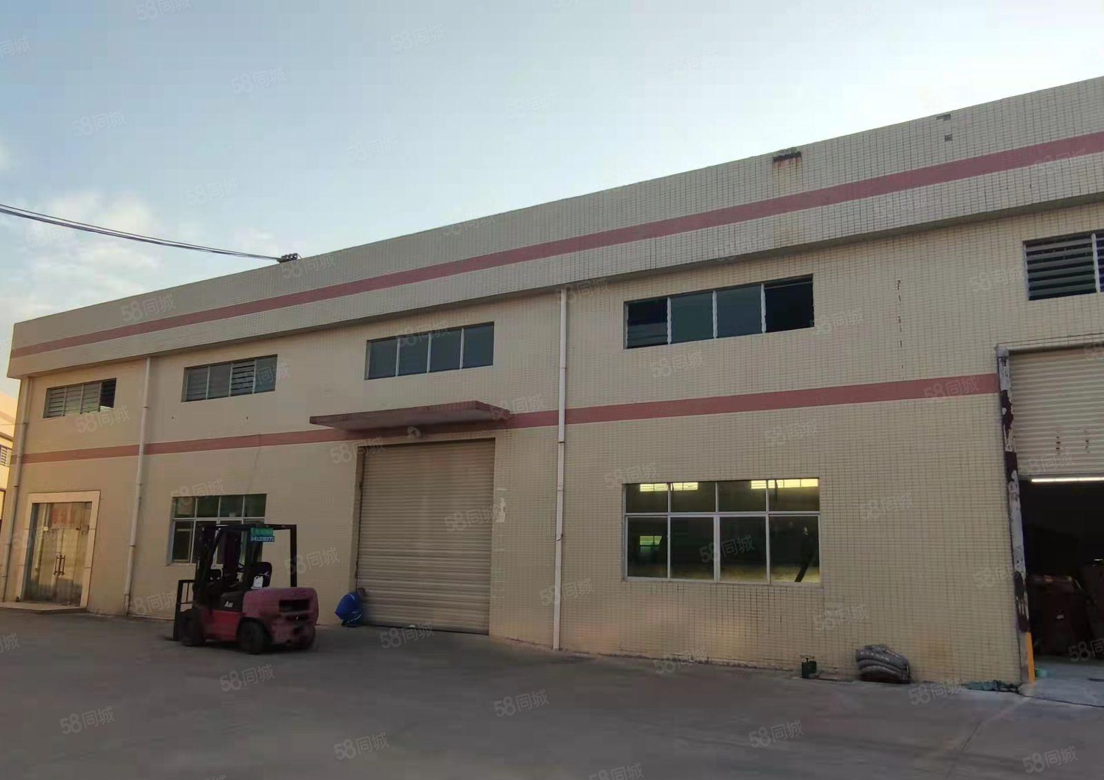 靓！钢构1000方，周边无民，格局方正，中间无柱子超实用