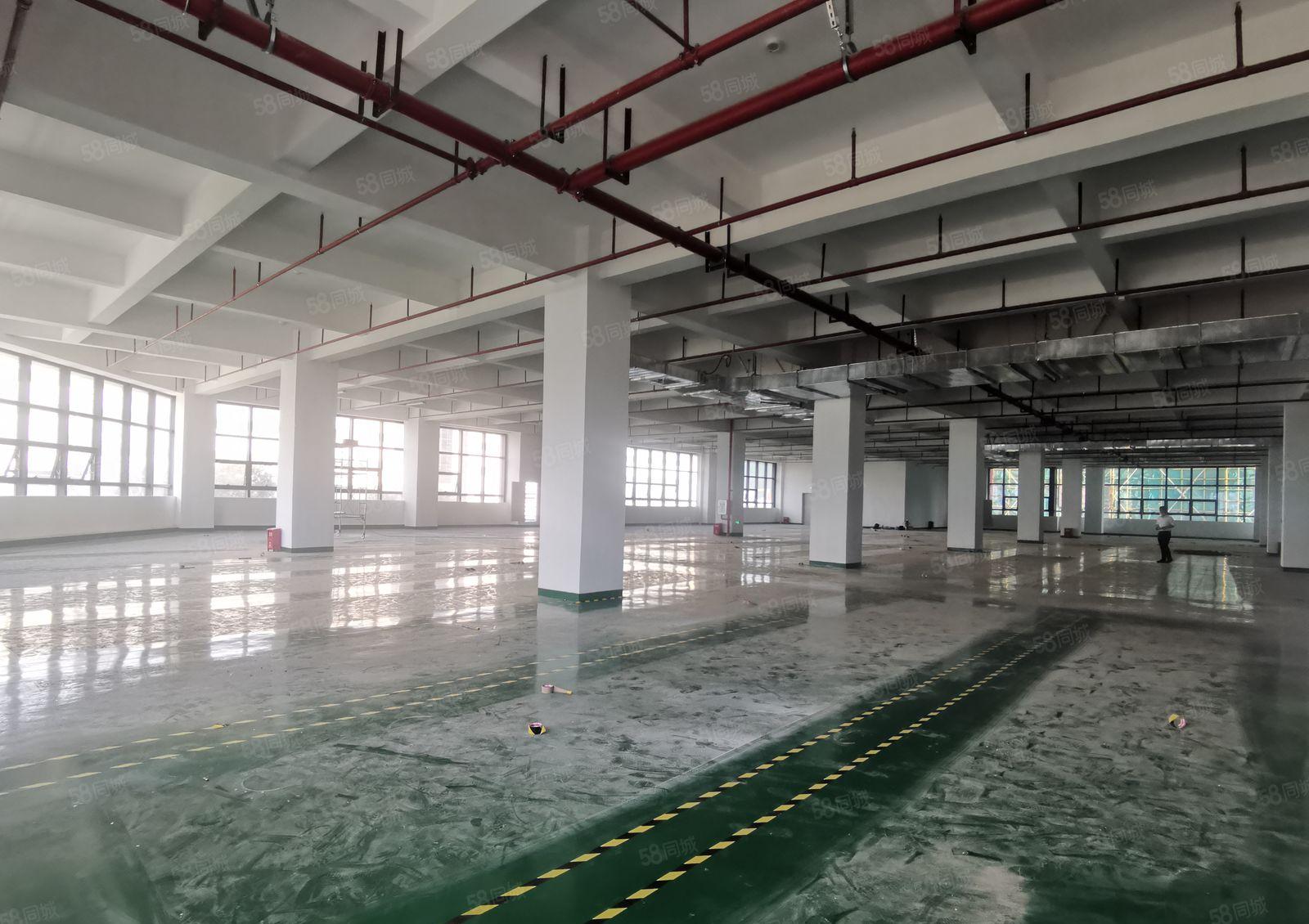 500平起博罗石湾科技园2万平厂房出租带环评一楼6米精选仓库