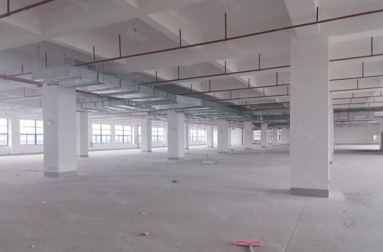 可分租36000平独院重工业标准厂房整栋出租