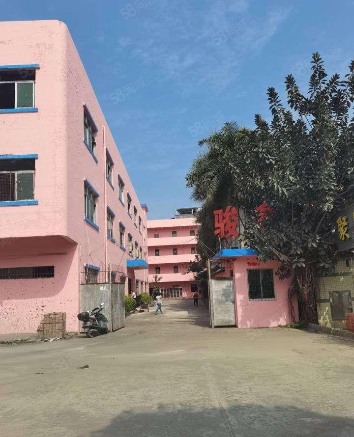 独门独院标准厂房出租 工业用地 可办环评 国土证