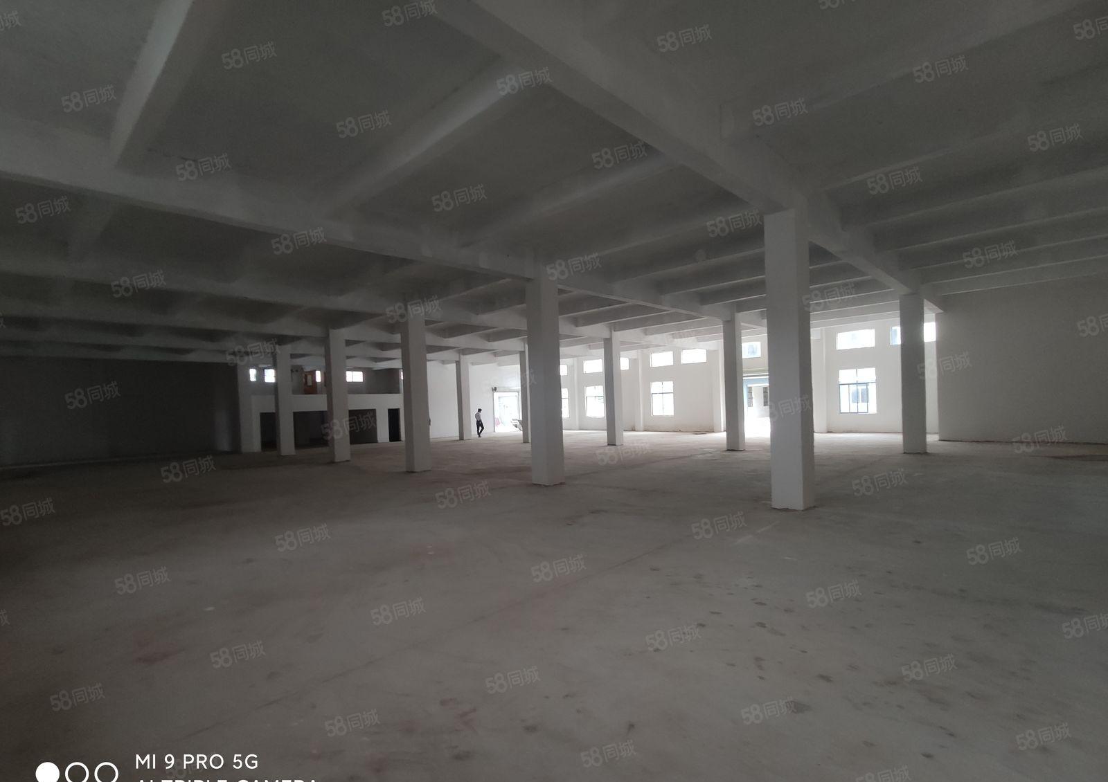 福田镇新出单一层红本厂房出租，500平方起租，可办环坪