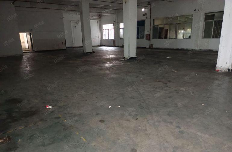 独门独院红本工业园区一楼招租，可办环评，交通便利，易招工