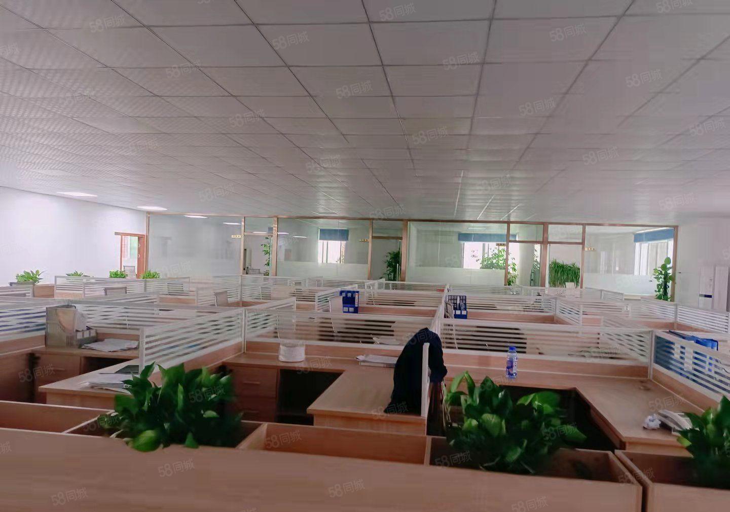 博罗县石湾镇沙浦村独院厂房空地出租2200