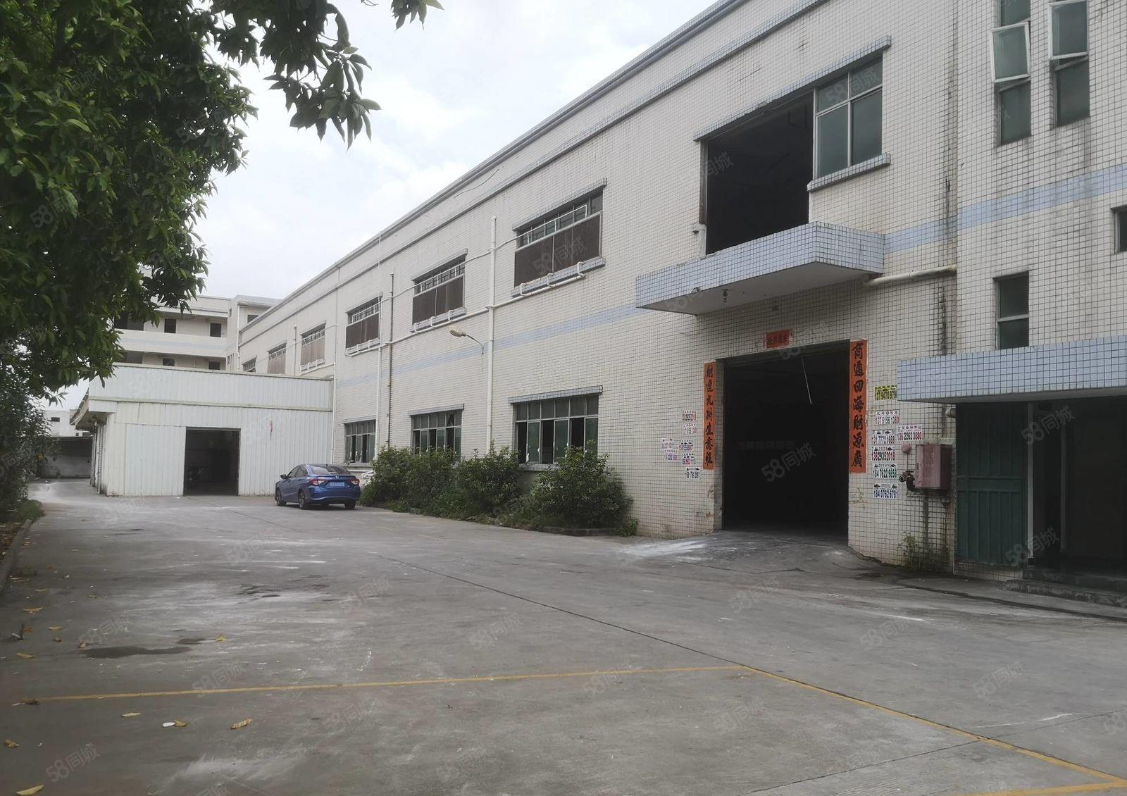 园洲主路边 原房东独院7000平厂房出租 带装修大小可分租