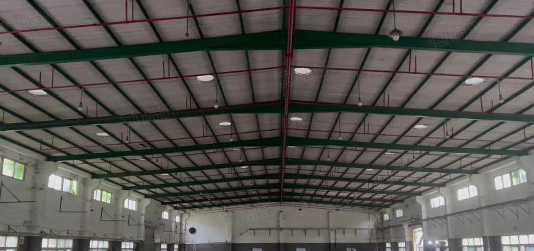 年前特价！博罗新出原房东10米高带地坪漆钢构厂房仓库低价出租