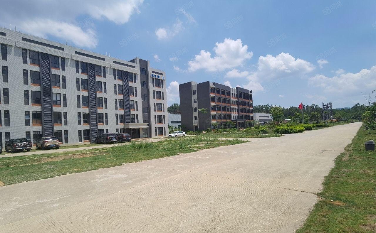 园洲单一层加标准厂房总面积41000平方